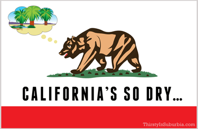 its so dry drought flag of california